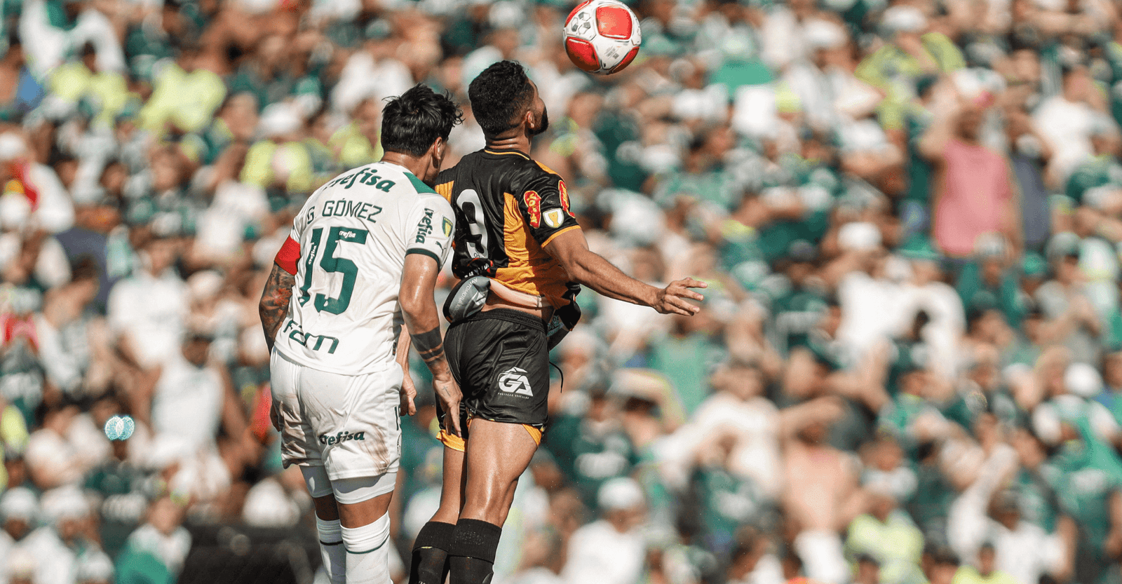 Novorizontino e Palmeiras fazem final do Paulistão; onde assistir ao vivo