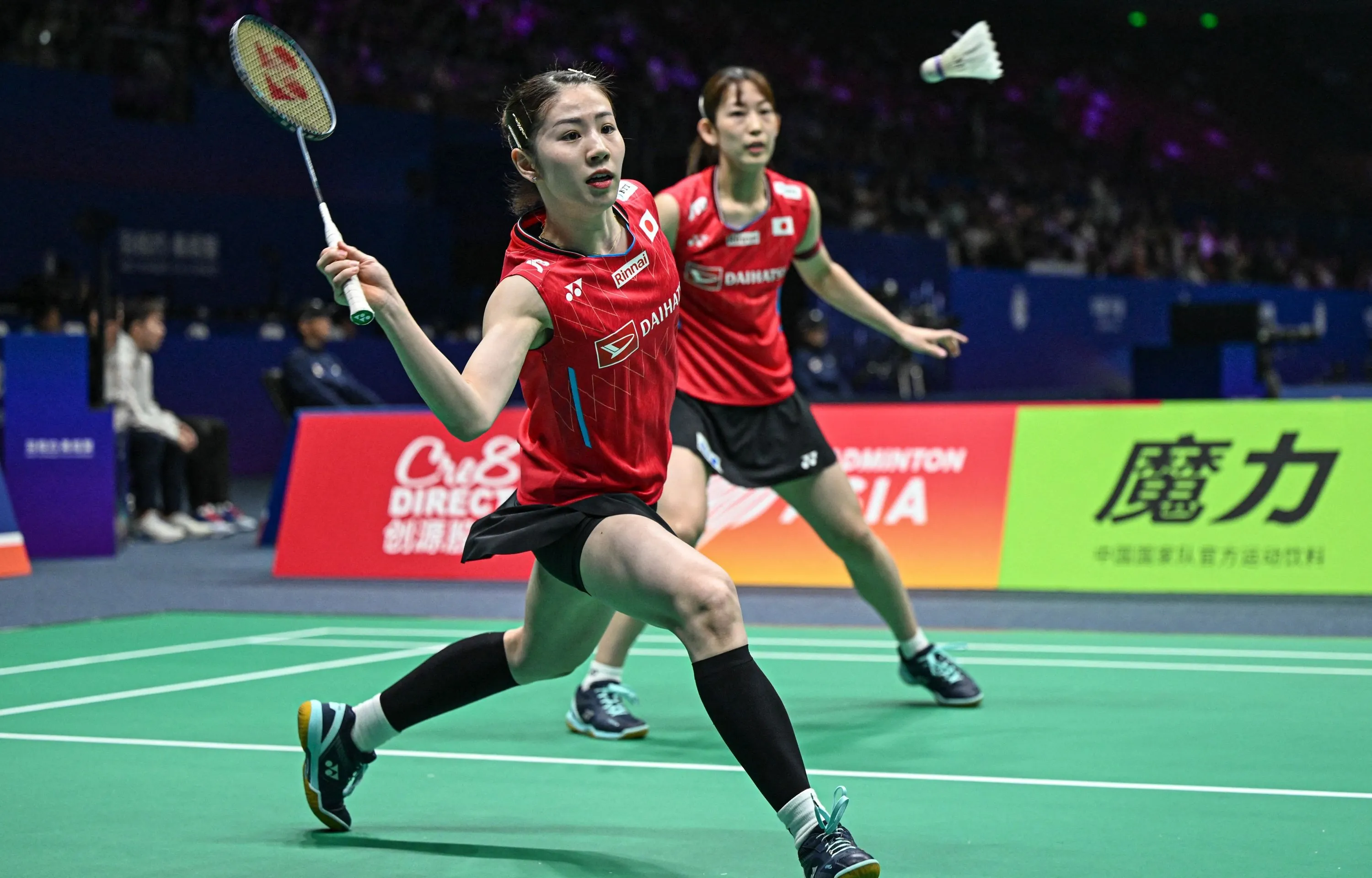 Badminton vai testar petecas sintéticas devido à escassez de penas de pato e ganso