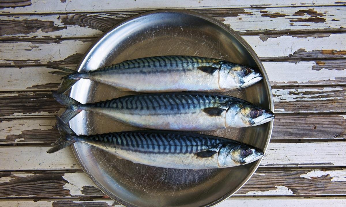 Irmãos traficantes que escondiam cocaína em peixes são presos em Goiás