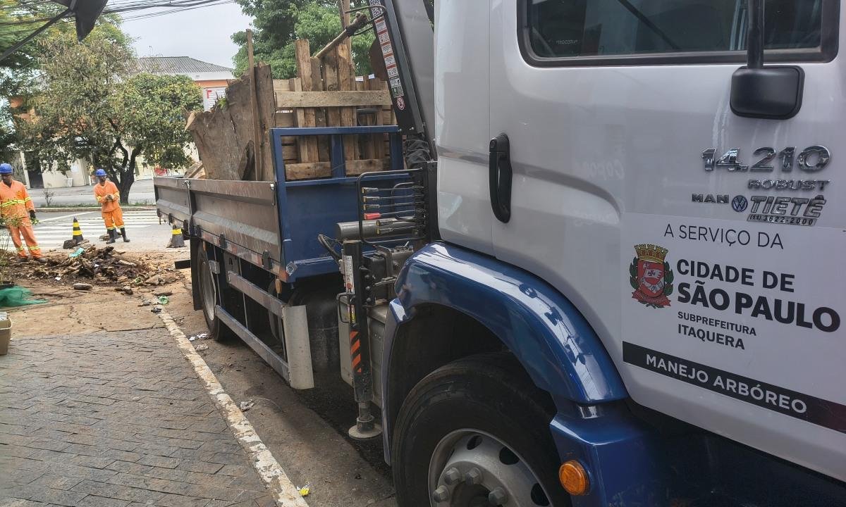 Prefeitura de SP atrasou poda de árvore e limpeza de córregos em 2025