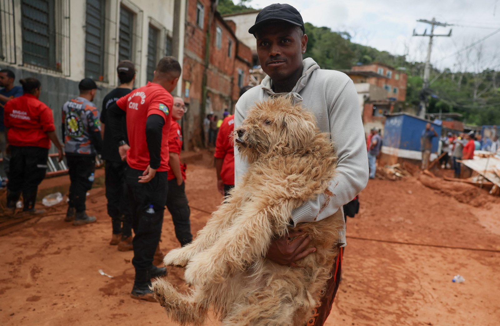 Mais de 30 animais são resgatados em Juiz de Fora e região | G1
