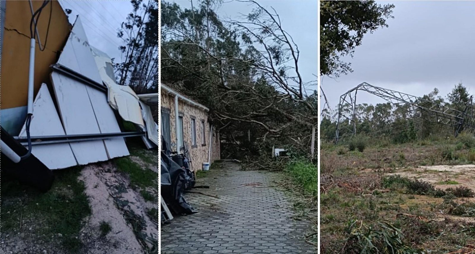 Mineira que mora em Portugal tem casa atingida por árvore | G1