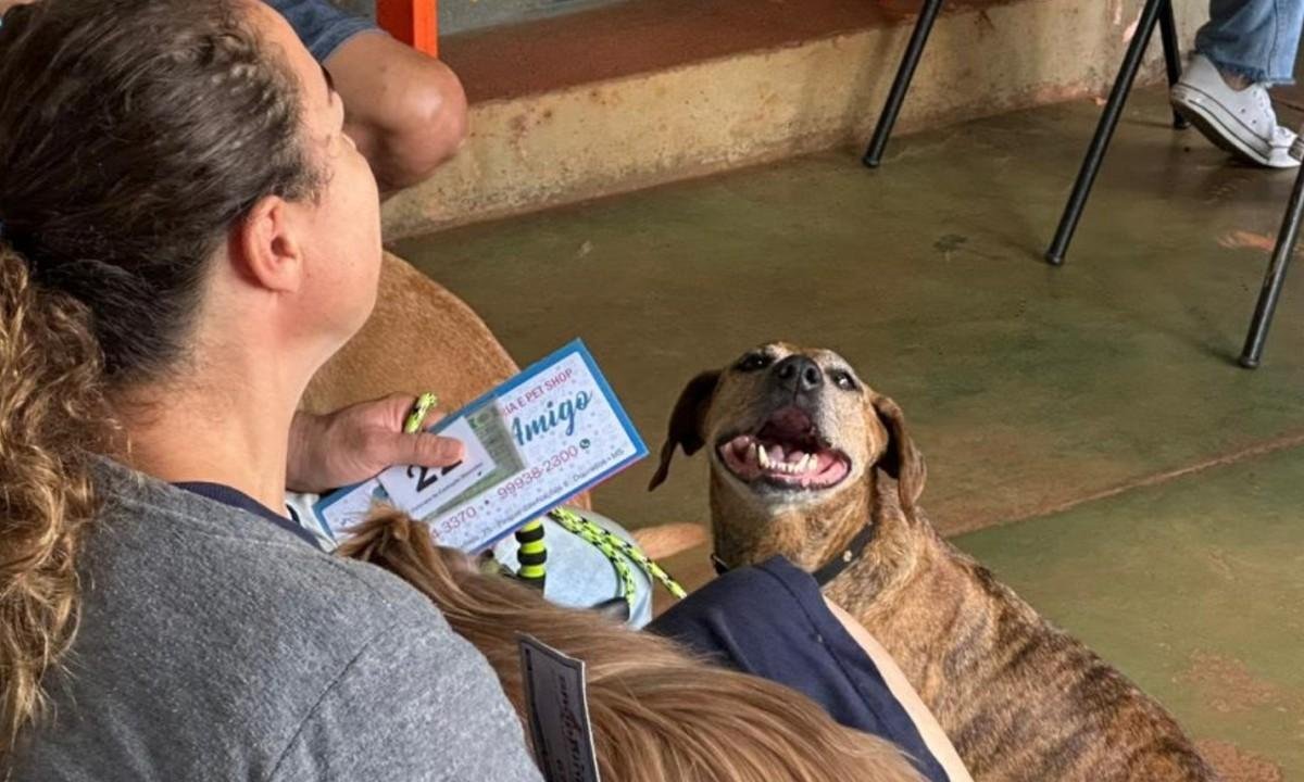 Castração gratuita em Campo Grande: Caravana abre 1,7 mil vagas | G1