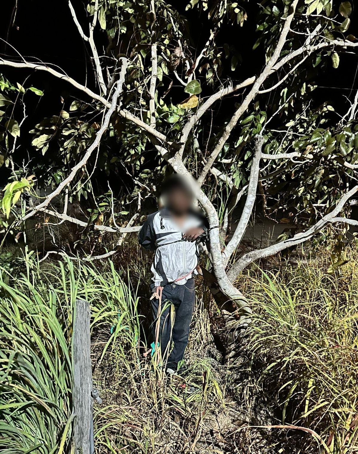 Jovem suspeito de furtar fios de cobre é amarrado em árvore e agredido por moradores em Alto Alegre | G1