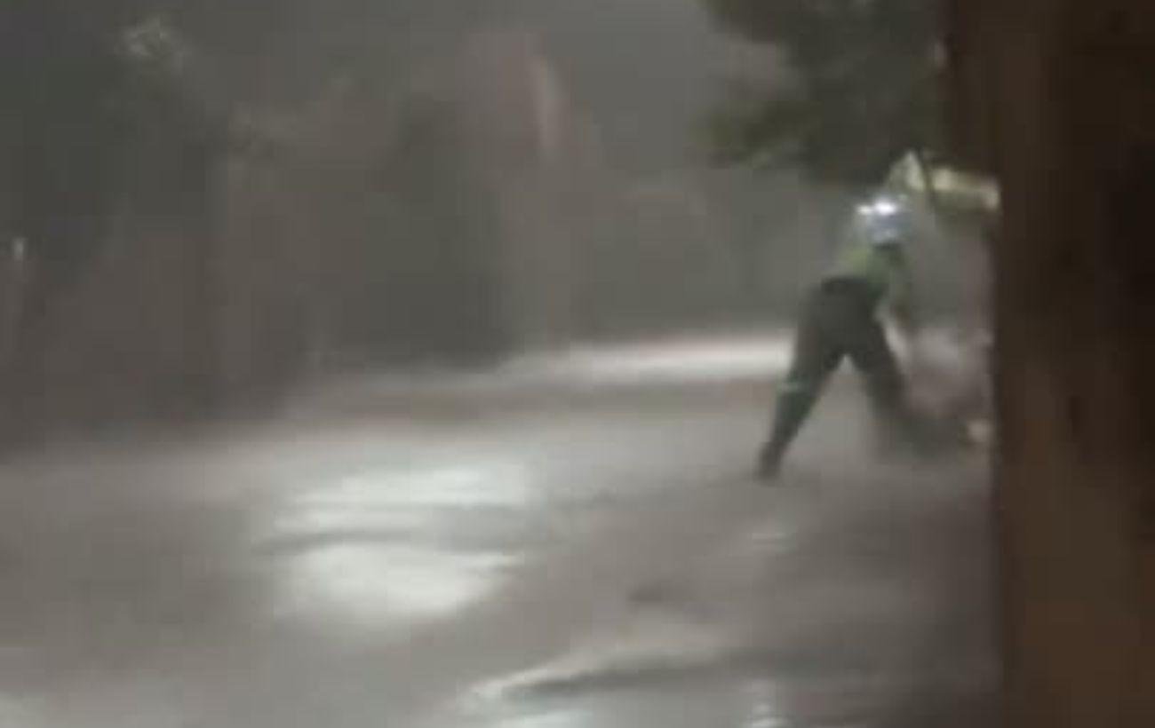 Vídeo de gari trabalhando debaixo de chuva no TO causa comoção na web | G1