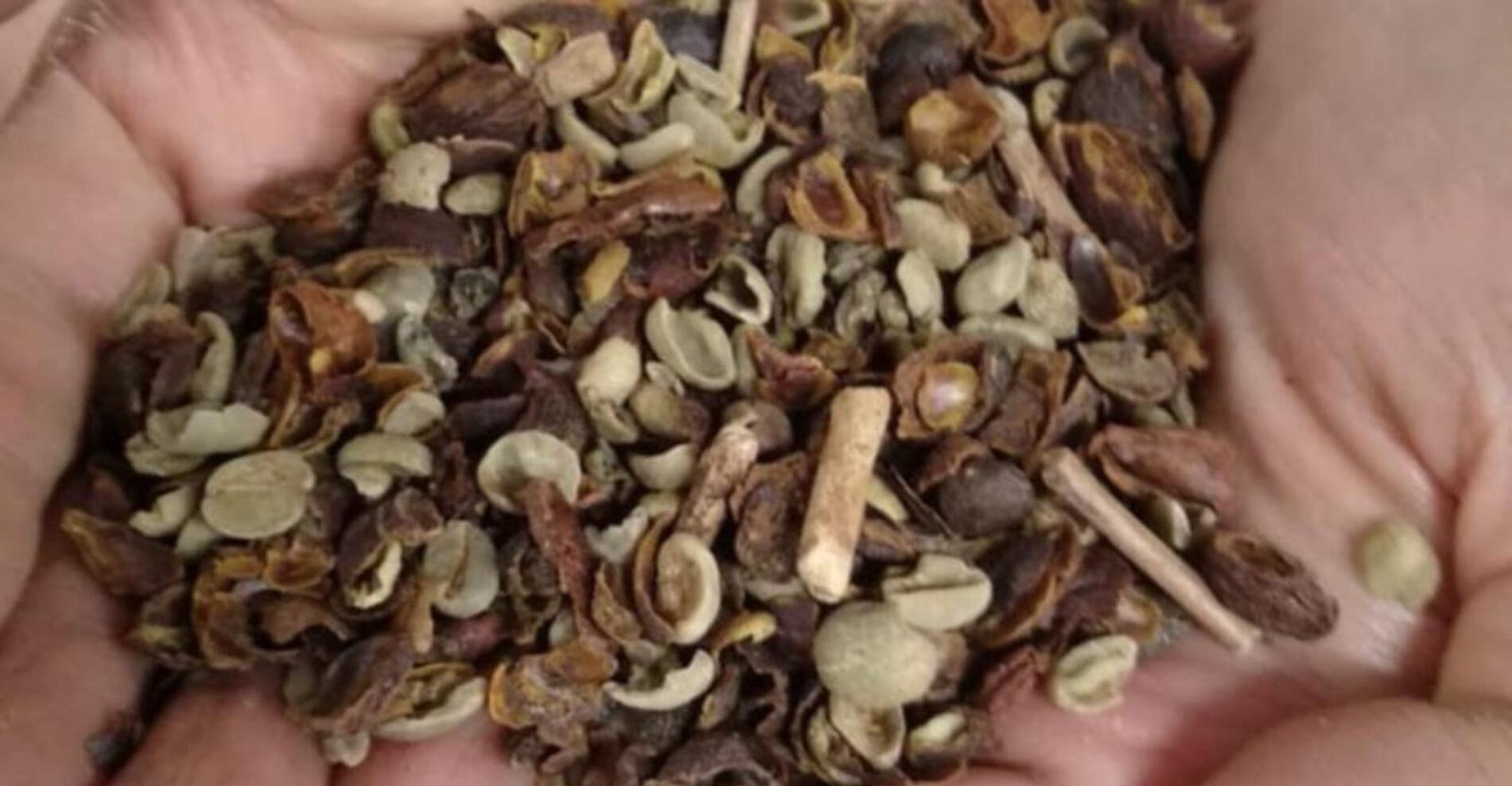 De gordura trans a 'café fake:, quais alimentos a Anvisa vetou em 2025