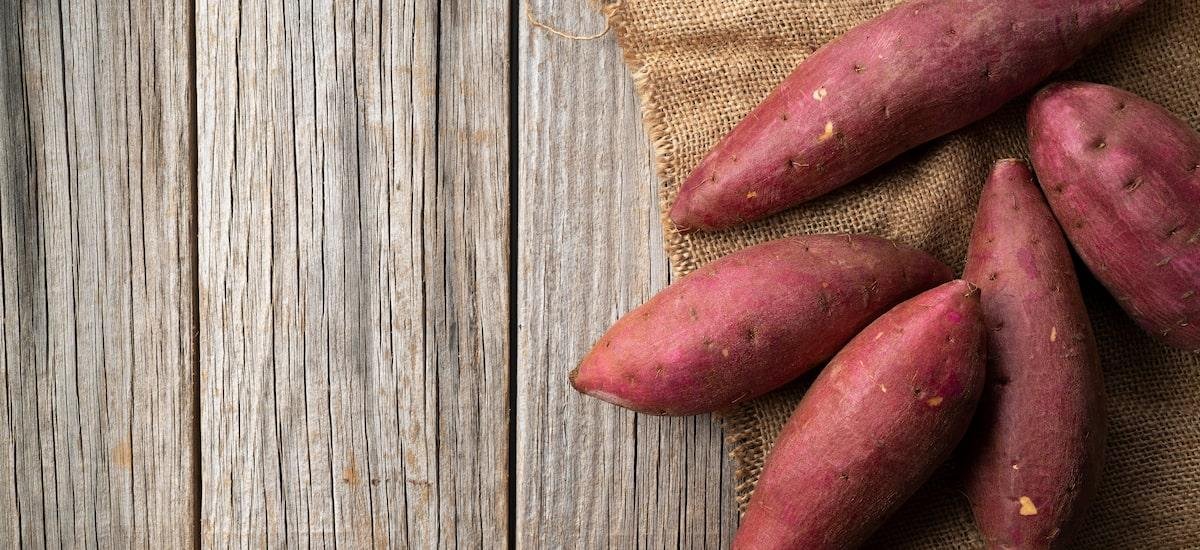 Batata-doce: conheça benefícios, contraindicações e receitas fáceis para fazer em casa