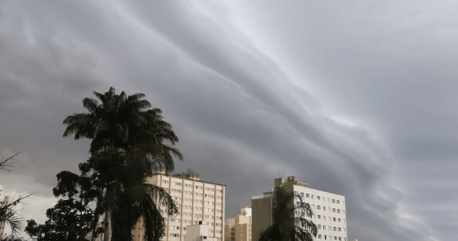 Chuvas causam quedas de arvores e alagamentos em Campinas