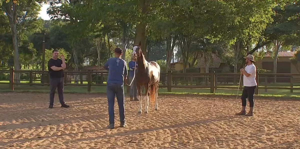Expo Agro Itapetininga 2026: tradição, histórias e negócios