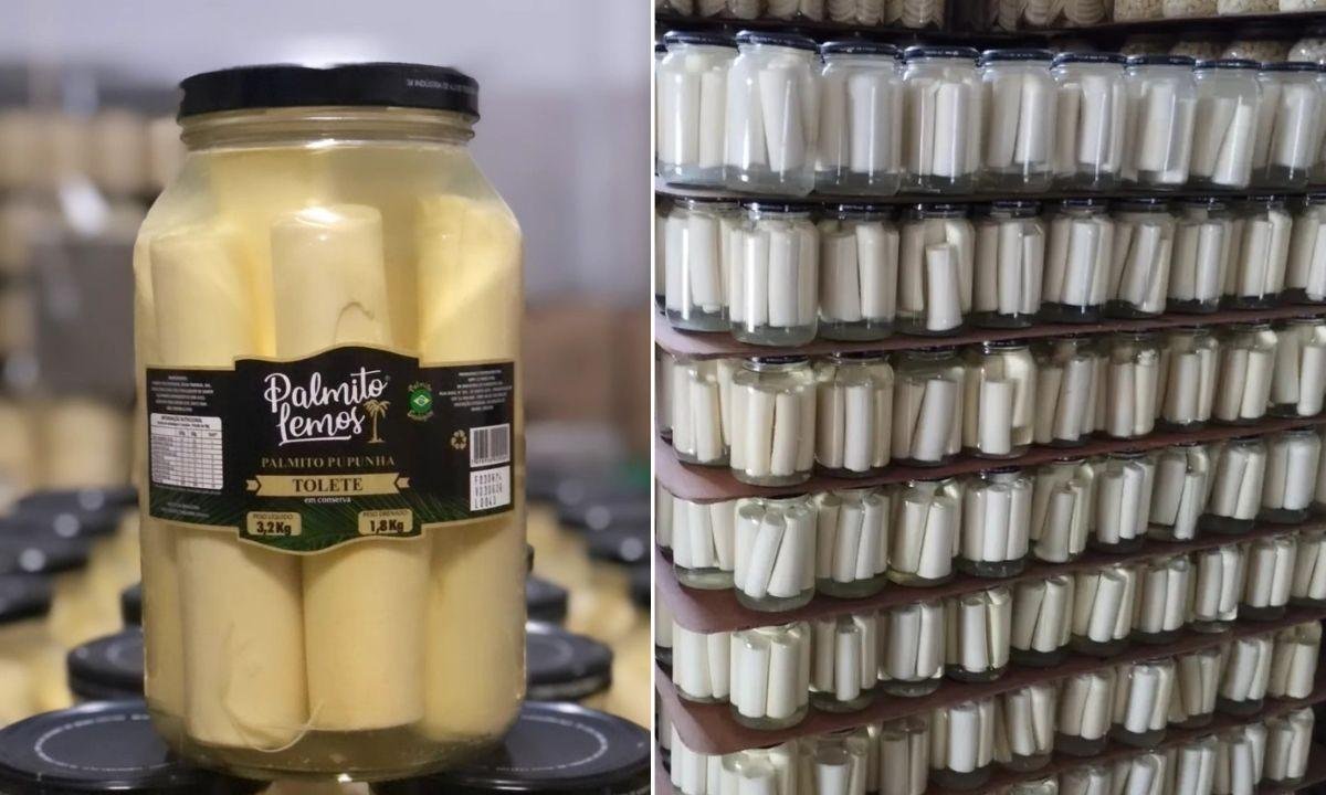 Anvisa manda recolher palmito clandestino em SP; multa de R$ 1,5 mi | G1