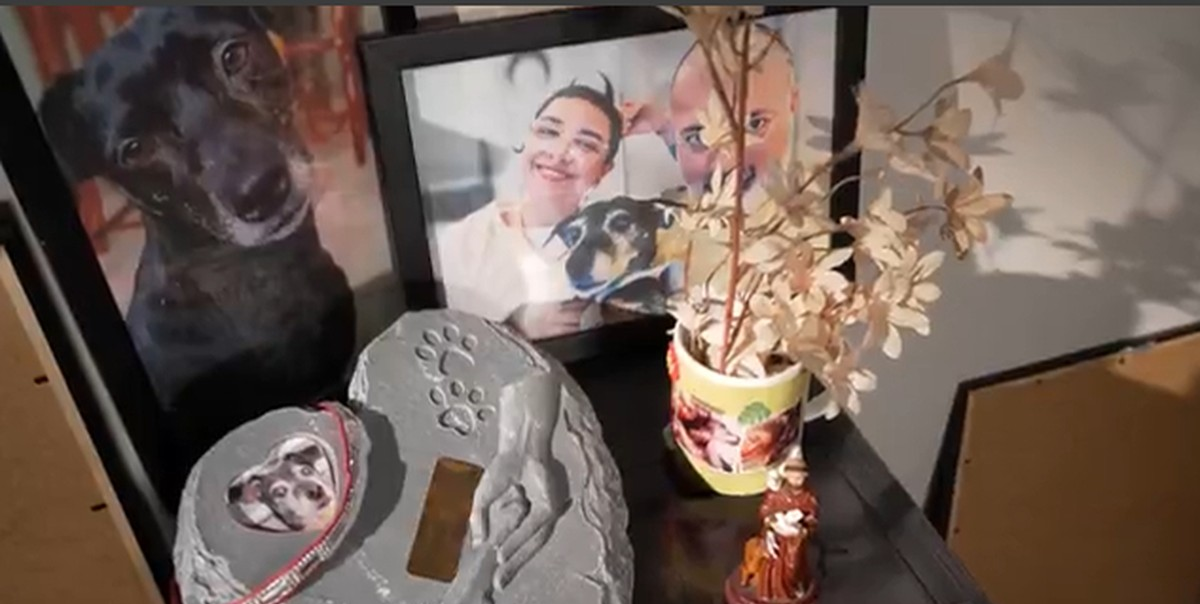 Cuidadora gasta R$ 3 mil para cremar cão e agora carrega as cinzas dele em um amuleto: 'Foi significativo’ | G1