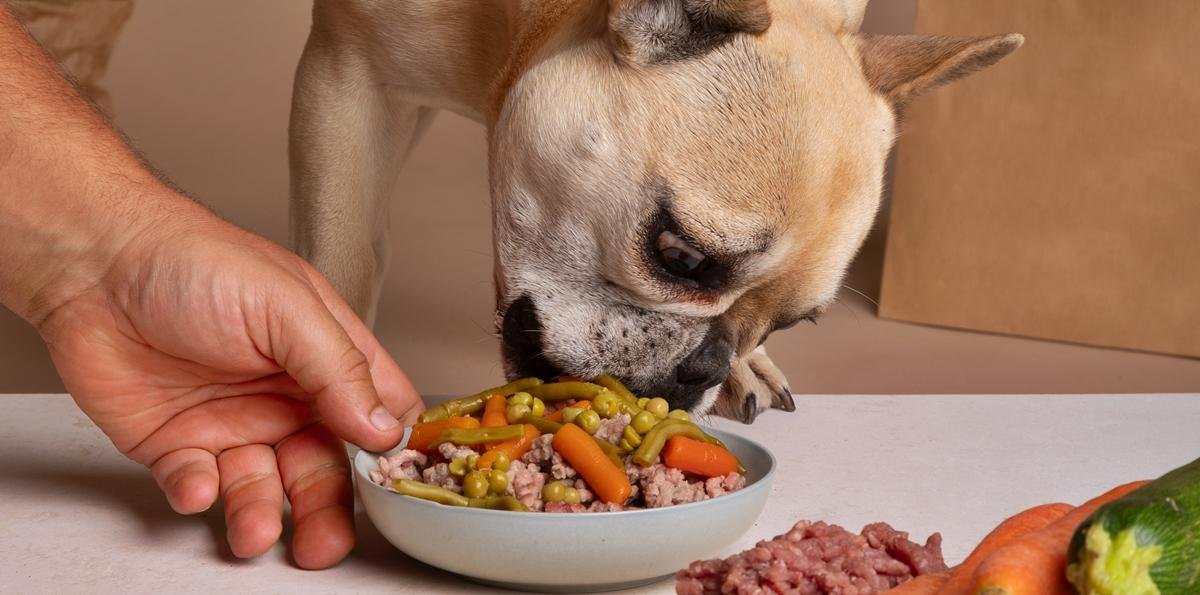 Alimentação natural para pets: é modismo ou oferece benefícios reais?