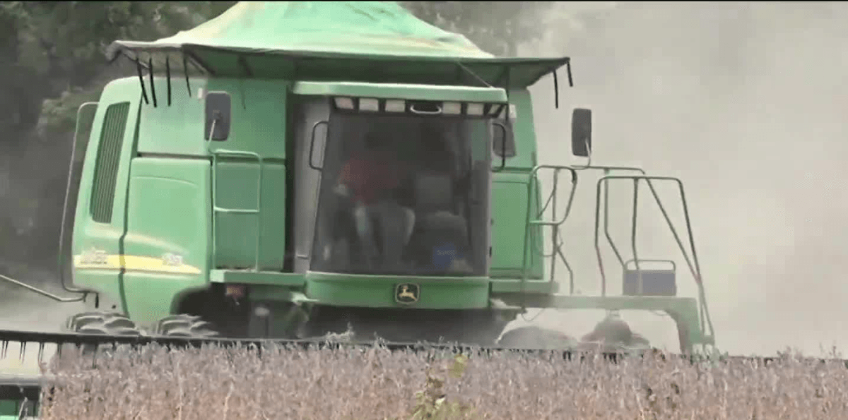 Colheita da soja e plantio do milho avançam com foco em produtividade