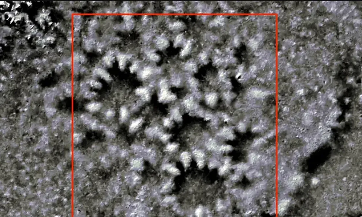 Arqueologia na Amazônia ganha força com uso tecnologia