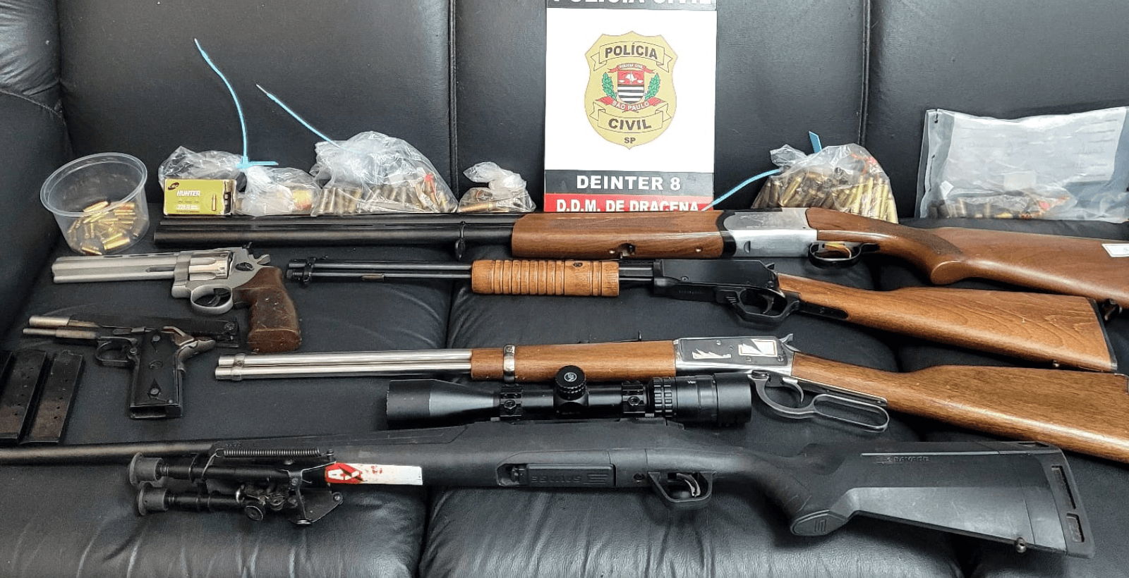 Polícia Civil apreende 6 armas na casa de homem investigado por violência