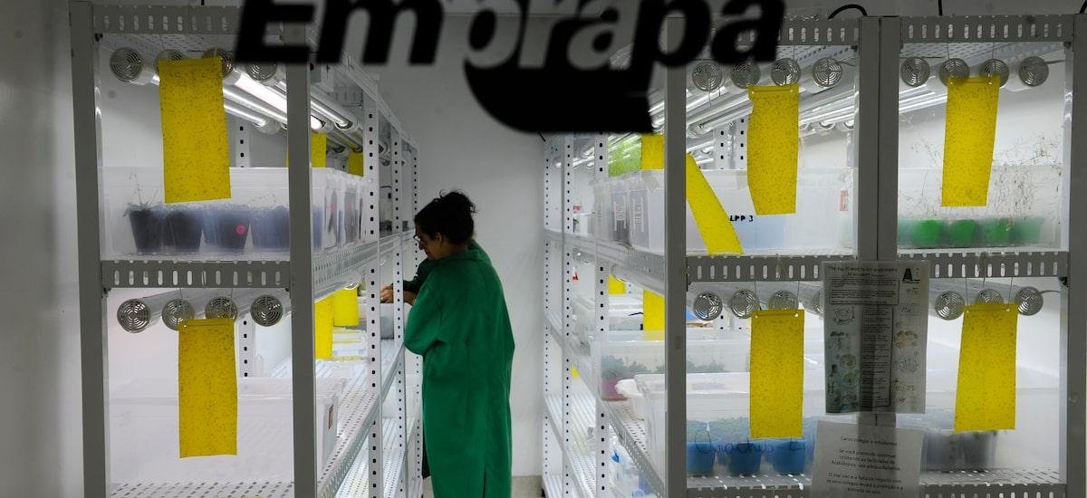 Opinião | Futuro ameaçado: O governo vetou salvaguardas que protegem pesquisas no agro e produtores rurais