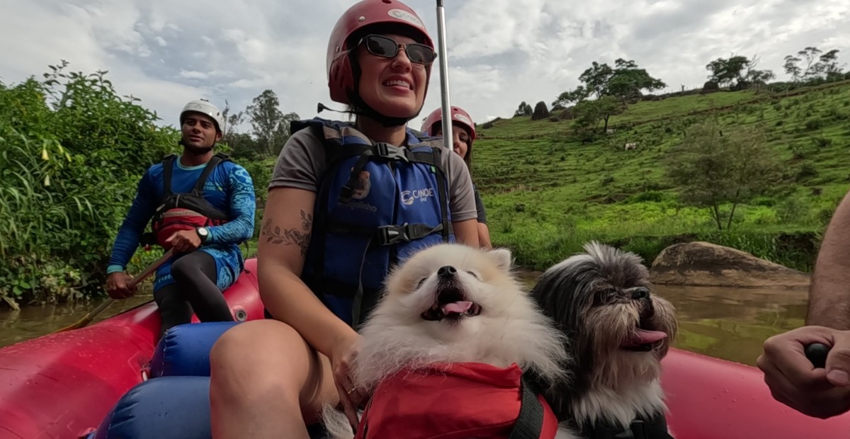 Aventura com pets? Veja cuidados necessários para a saúde dos animais | G1