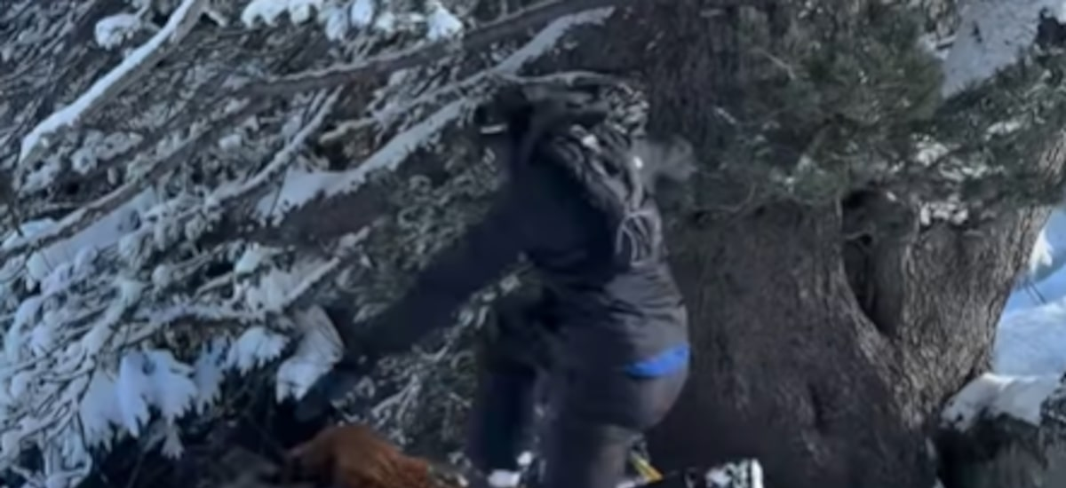 Brasileiro é espancado por grupo de ao menos cinco pessoas em estação de esqui na França