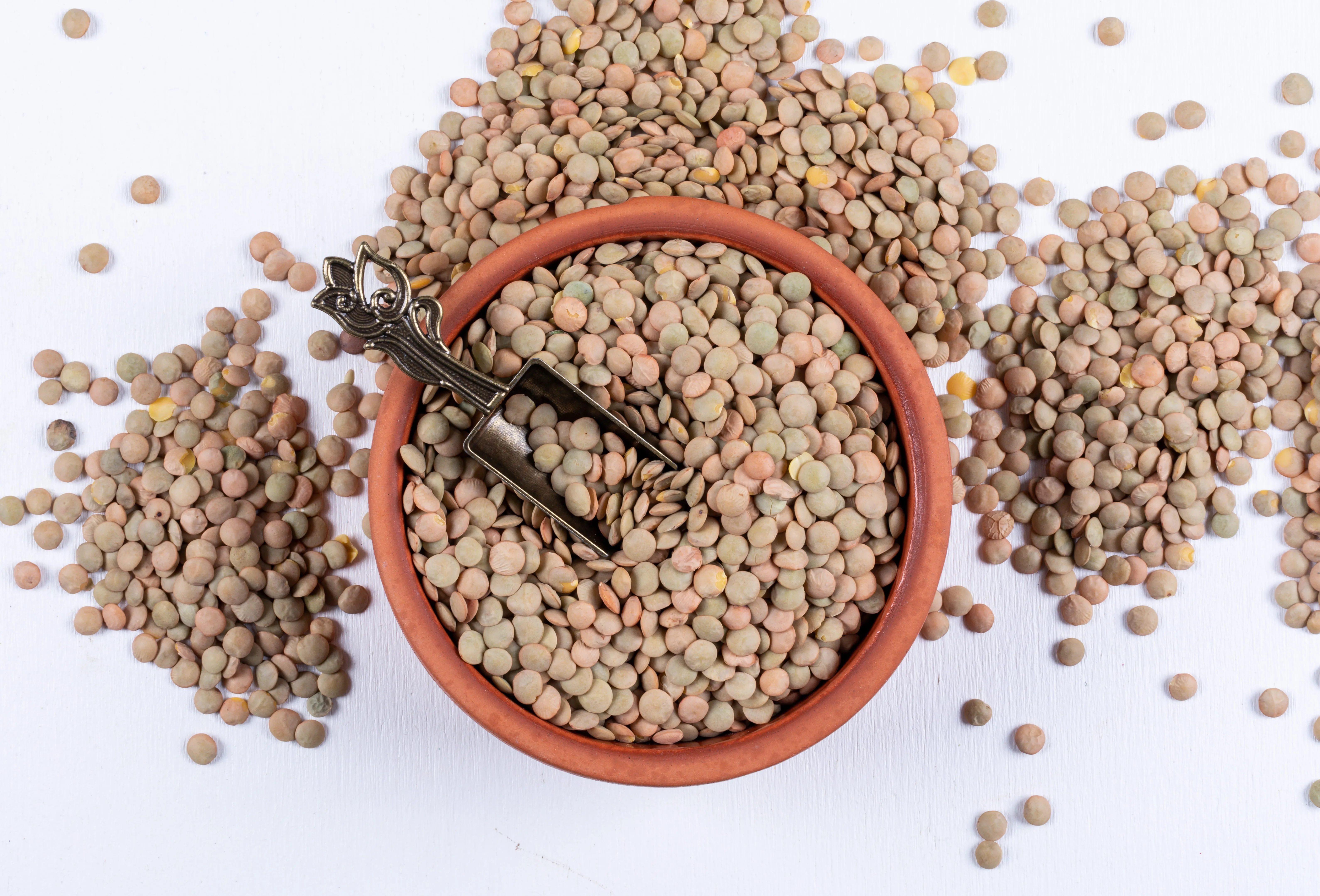 Lentilha: a semente que ajuda a cuidar da massa muscular