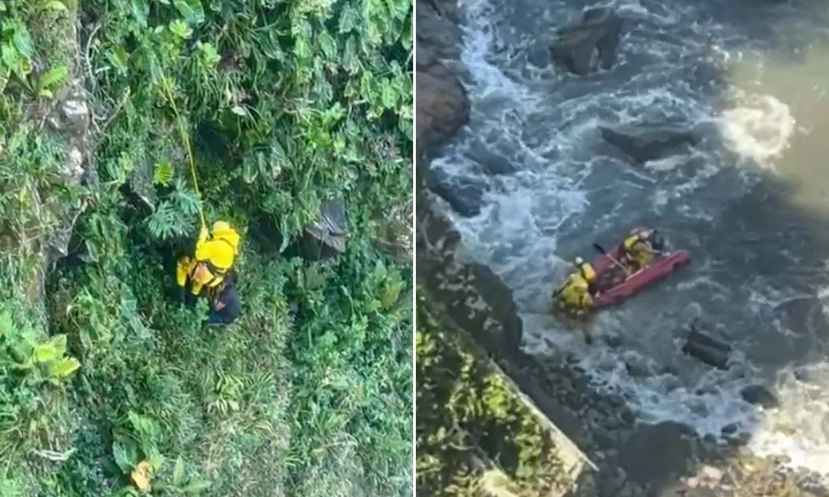 Homem se joga de precipício para escapar de ataque de abelhas; VÍDEO | G1
