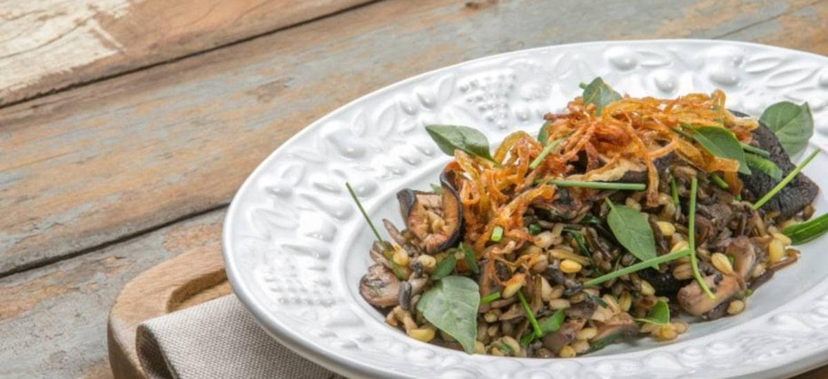 Receitas com Grãos: Guia Prático e Nutritivo