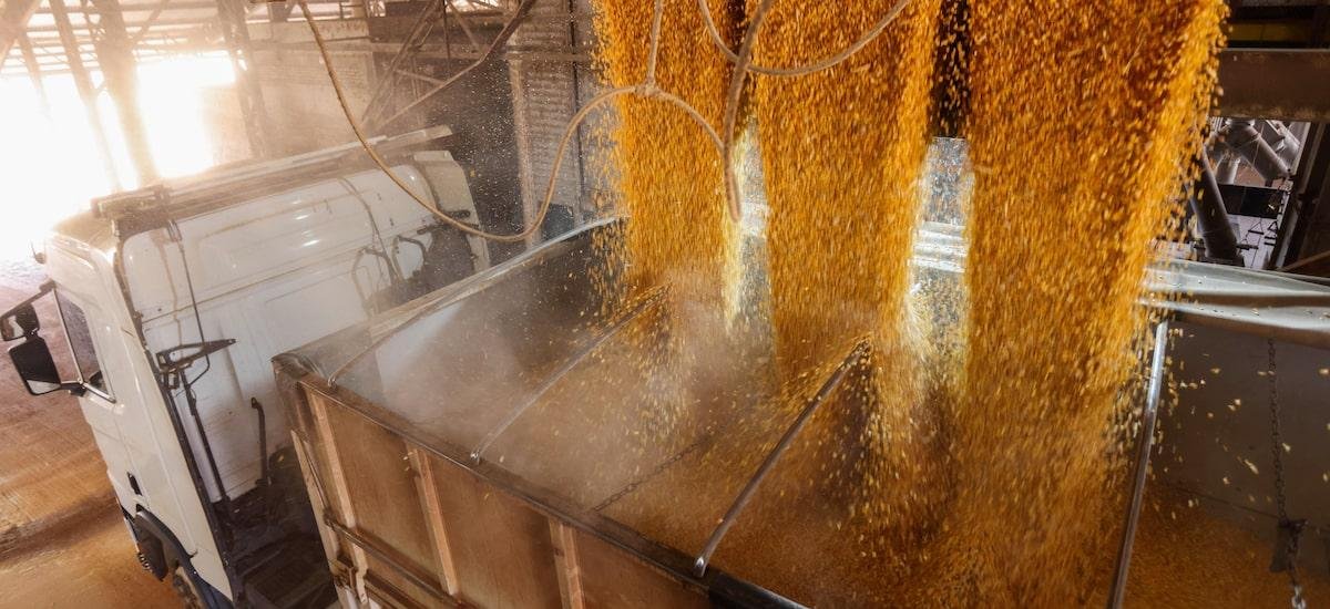 Opinião | Por um Projeto Brasil: no campo, por trás da estatística, há risco, endividamento e responsabilidade