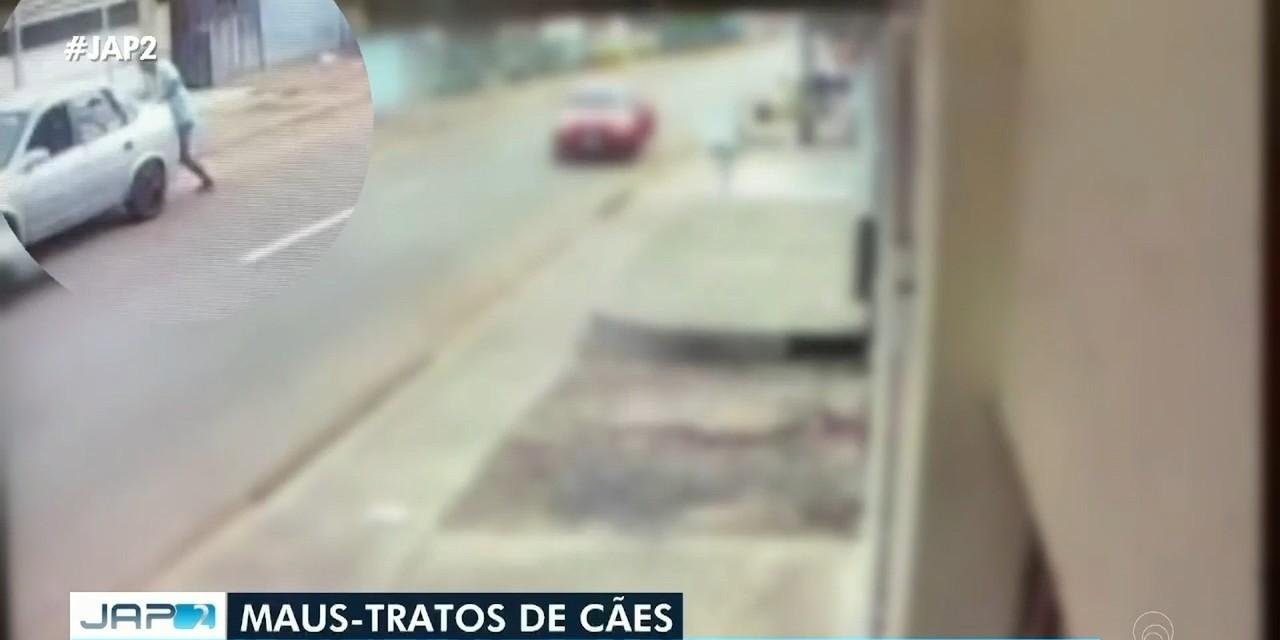 Maus-tratos no Amapá: homem é indiciado por atacar cães com facão | G1