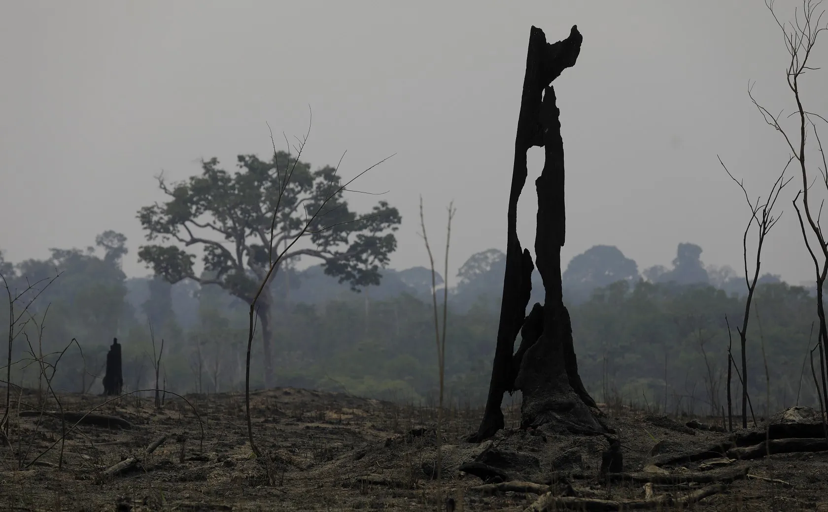 Ministério do Meio Ambiente afirma que governo do Amazonas pediu ajuda federal para comabte ao fogo, mas desistiu