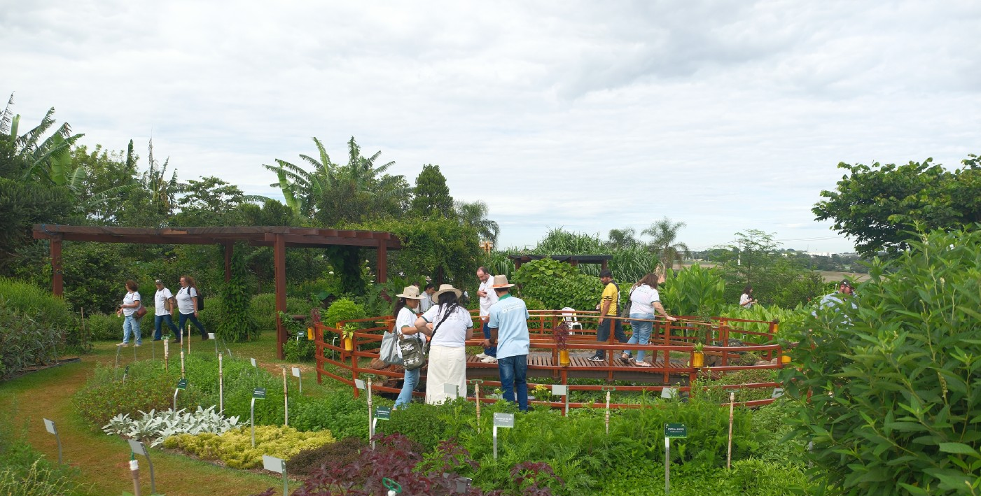 Vital apresentará 40 tecnologias à agricultura familiar no Show Rural | G1