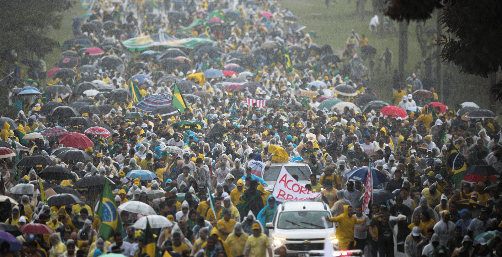 Ato de Nikolas Ferreira rompe inércia da direita, avalia Schüler