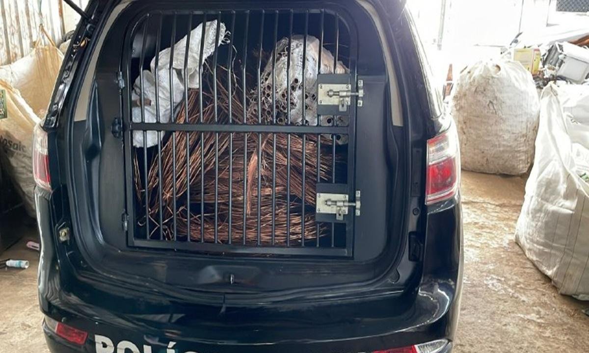 PCDF lança canal exclusivo para denúncias de roubo de cabos de energia