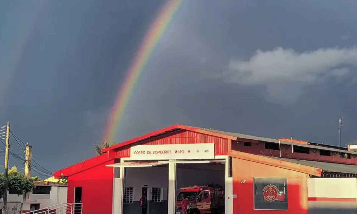 Trabalhador sofre choque elétrico durante descarregamento de madeira | G1