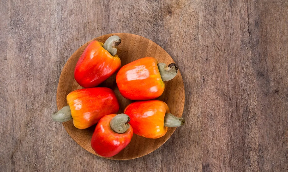 Por que consumir caju? Veja benefícios e receitas