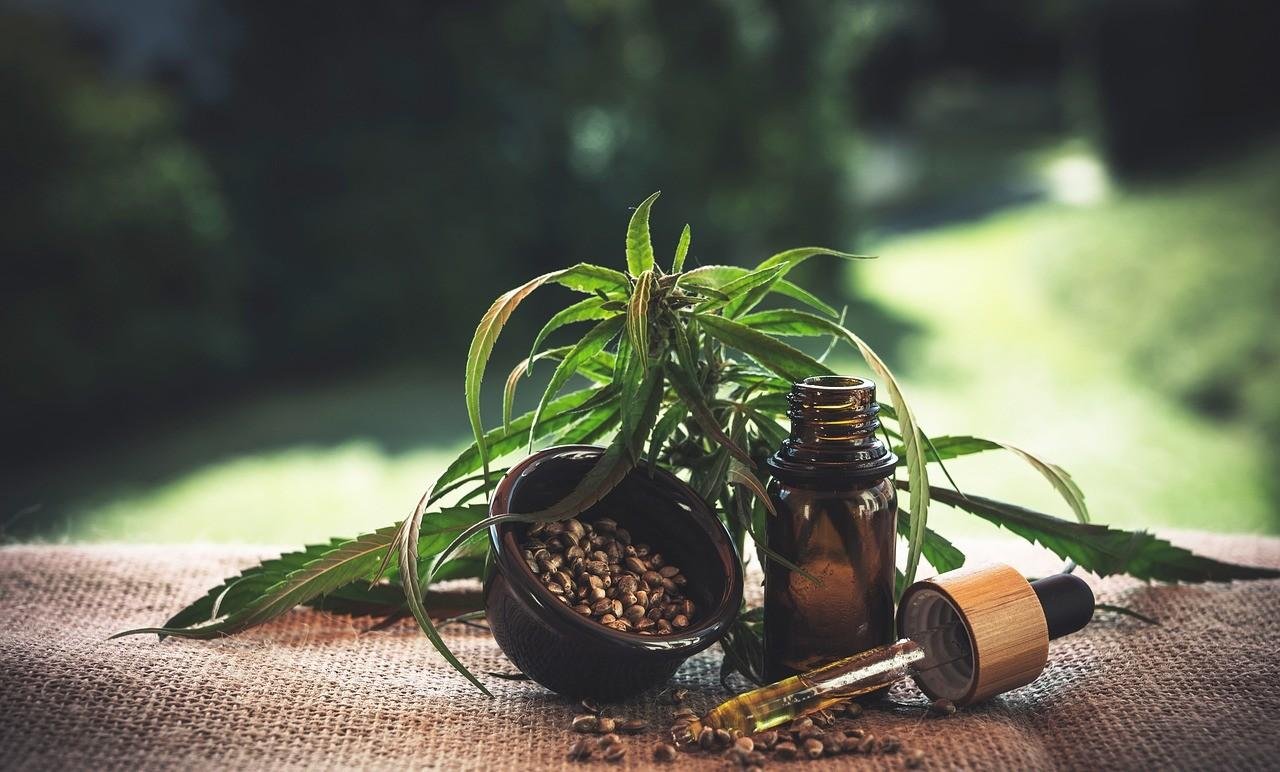 Anvisa define como vai funcionar o cultivo de cannabis no Brasil | G1