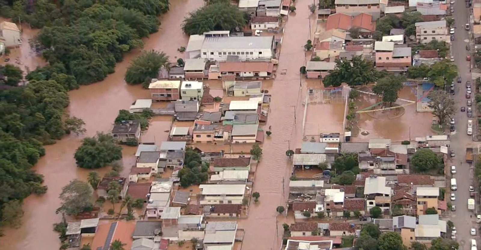 Vídeo de vaca carregando cachorros em enchente é fake e feito por IA | G1