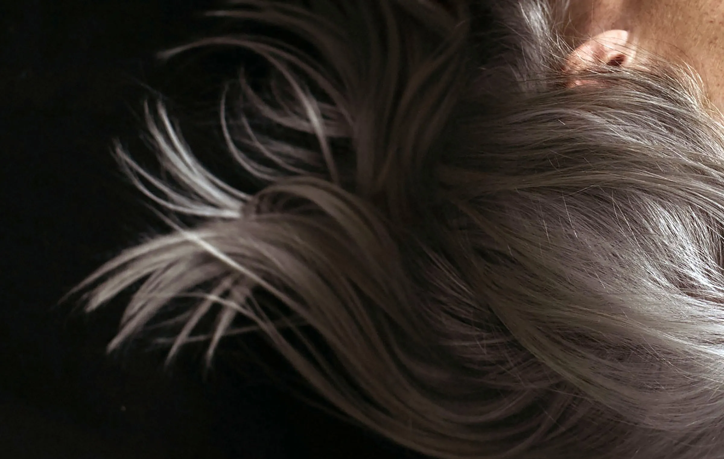 É possível prevenir ou reverter o aparecimento de cabelos brancos?