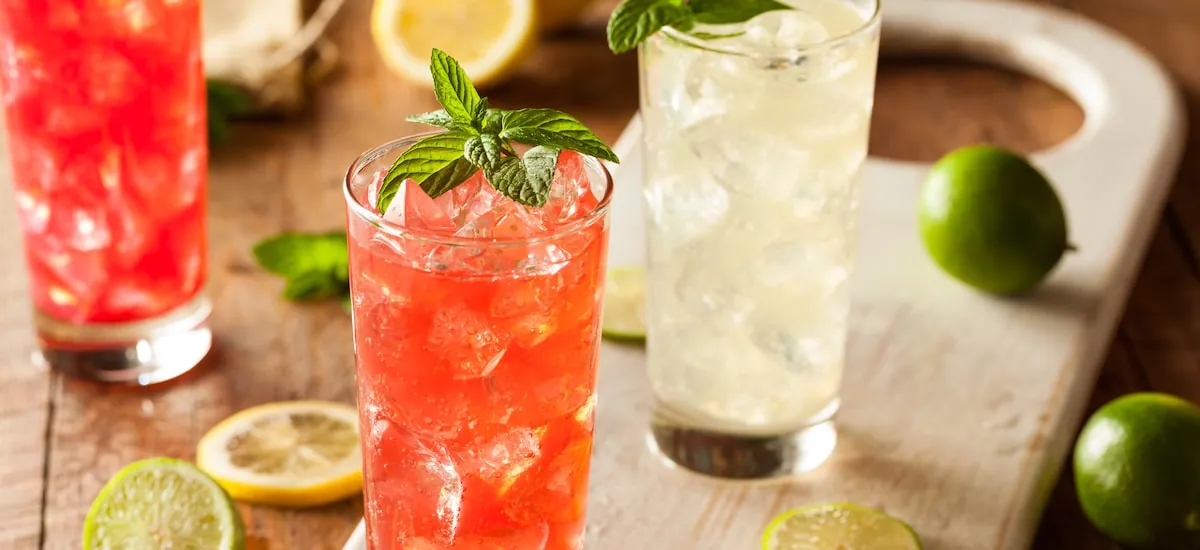 Como agem no cérebro as bebidas adaptógenas (que relaxam, mas não dão ressaca)? Ciência explica