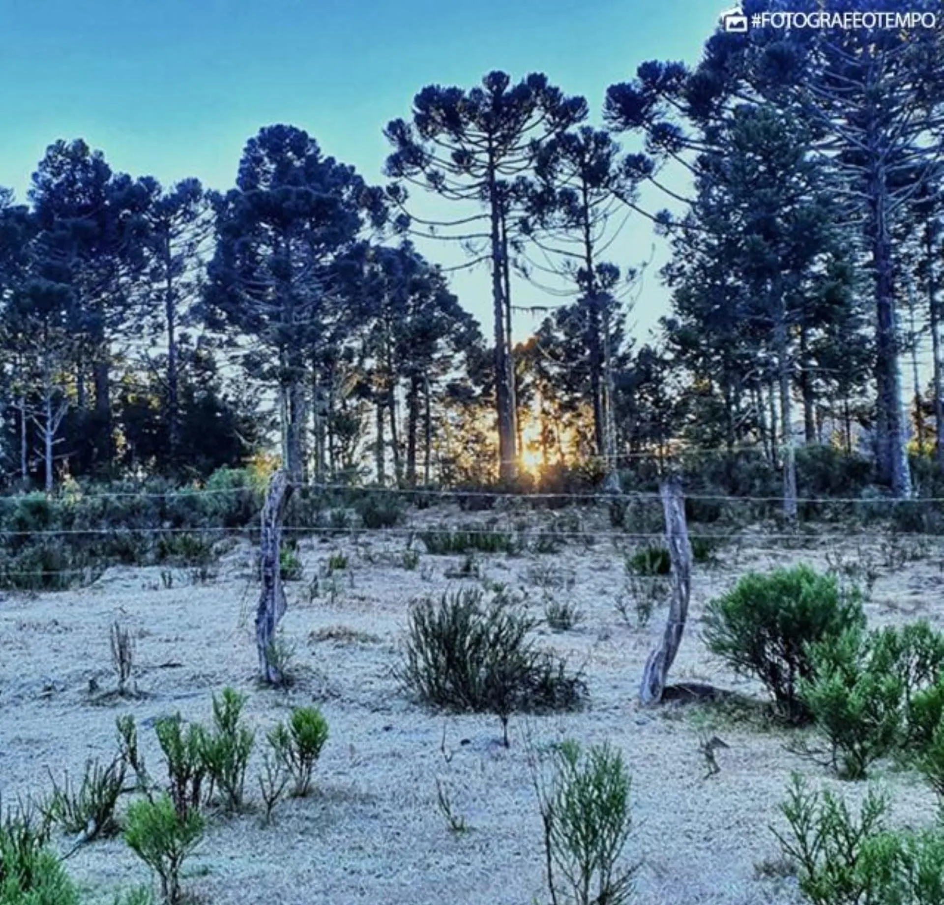 Inmet emite alerta de geada e queda de temperatura no Sul do Brasil