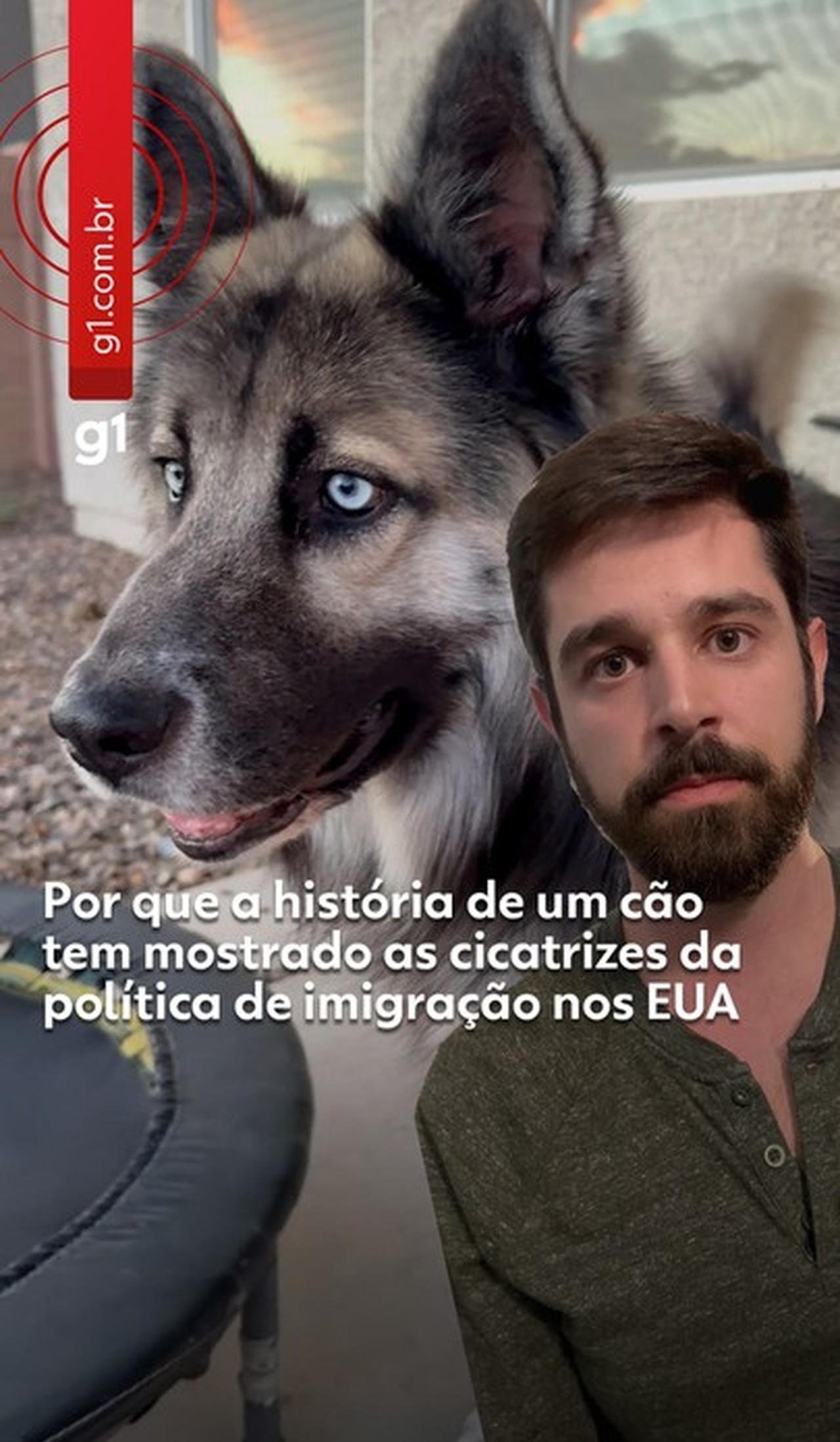 Cão que teve toda a família detida pelo ICE viraliza | G1
