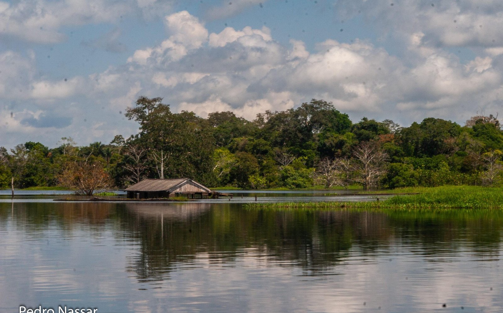 Áreas úmidas do AM estão sob ameaça, diz estudo | G1