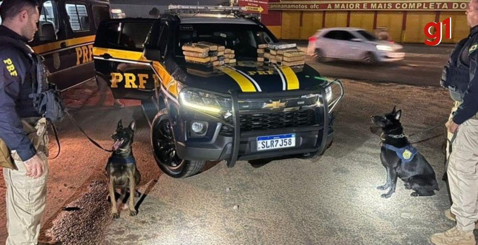 Adolescente é apreendida com mais de 30 kg de maconha em ônibus no PI | G1