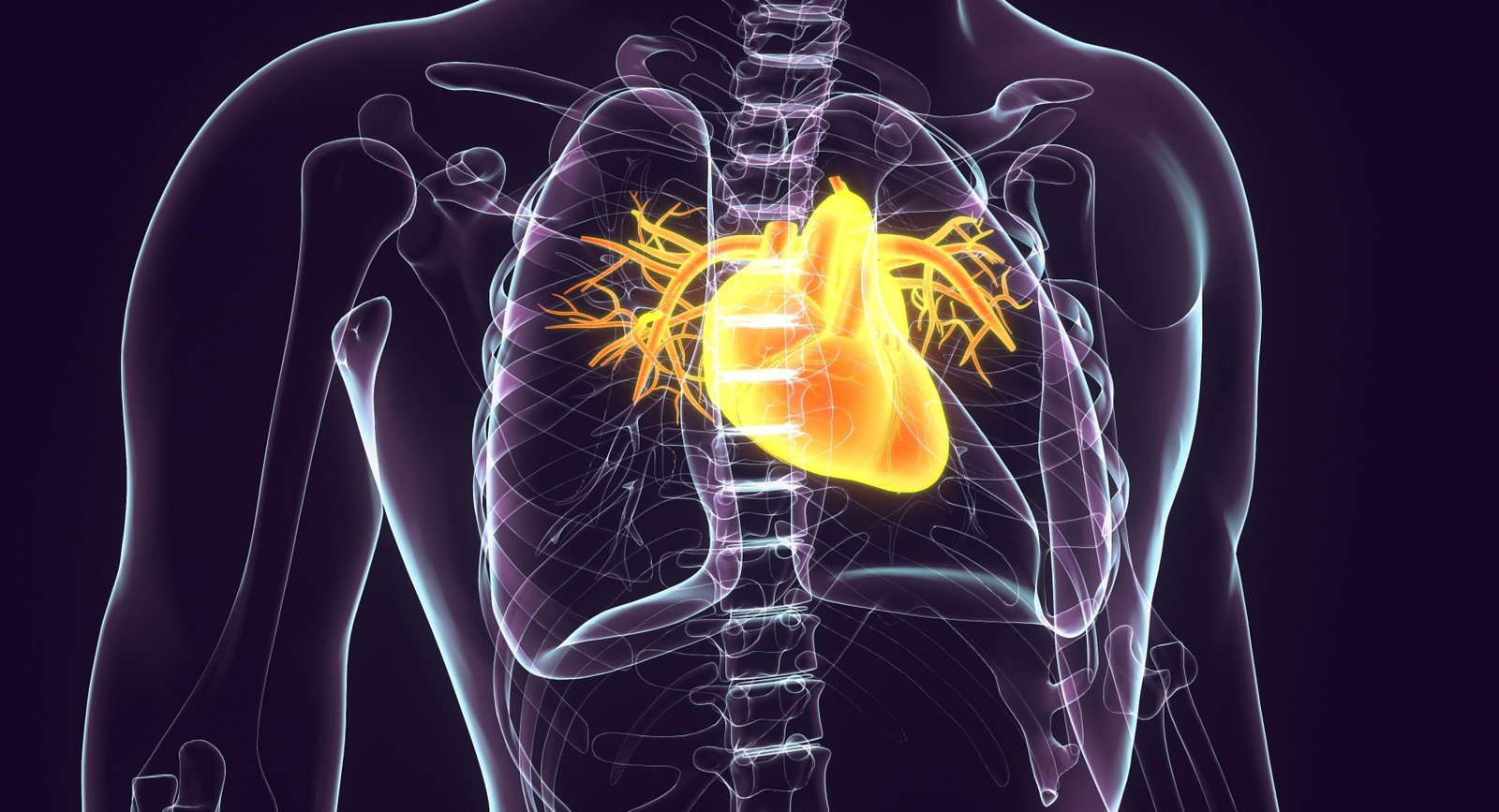 Câncer de coração existe: tumor raro pode ser confundido com falta de ar e exige cirurgia de altíssimo risco | G1