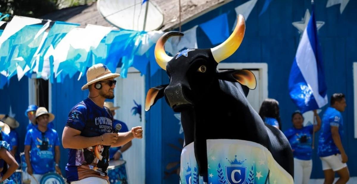 Boi Caprichoso 2026: confira as 7 novas toadas do álbum oficial | G1