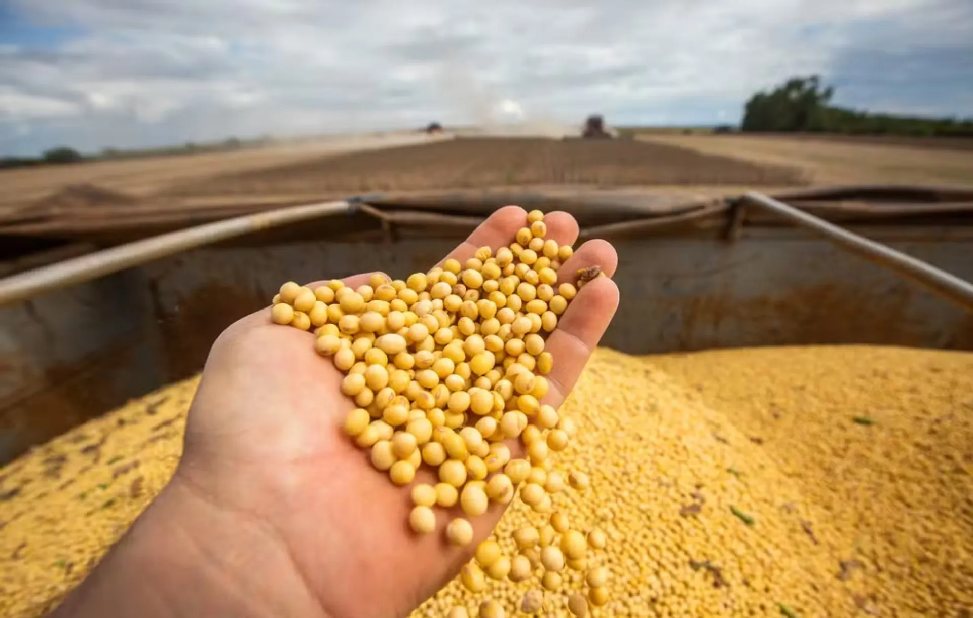 Barter no agro: troca de grãos por máquinas ganha espaço