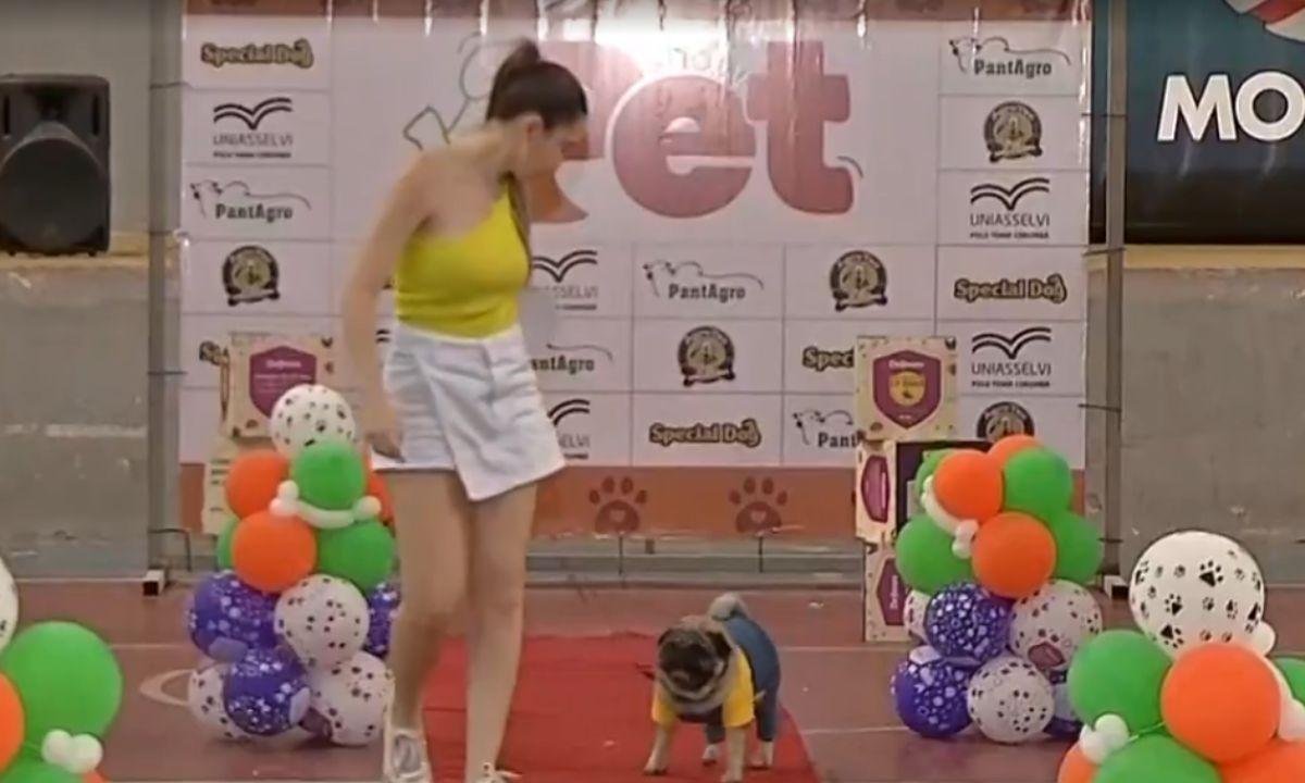 Com feira de adoção e desfile, 'Show Pet' chega à 4ª edição em Corumbá | G1