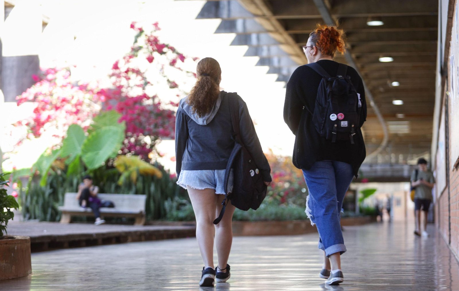 Censo: tempo integral cresceu no ensino médio público