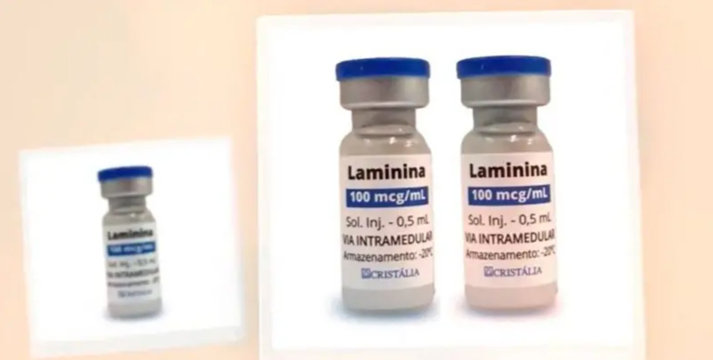 Polilaminina: a molécula descoberta no Brasil 'por acaso' que virou esperança para reverter lesões na medula | G1