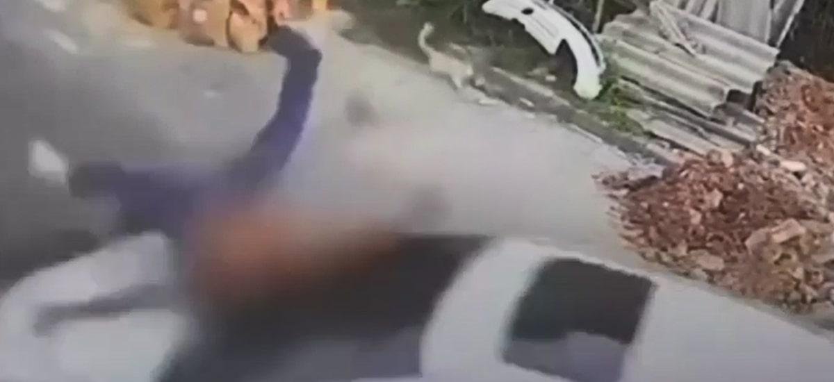 Vereadora que atropelou namorado após agressão se manifesta: ‘Assunto não pode ser minimizado’