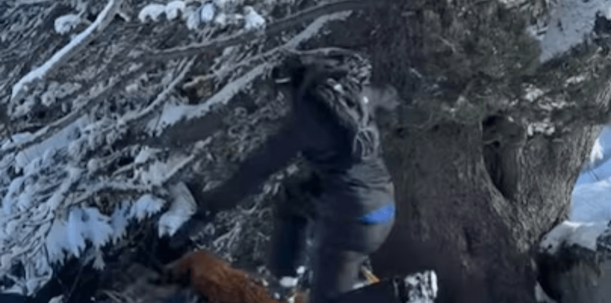 Brasileiro é espancado por grupo em estação de esqui na França