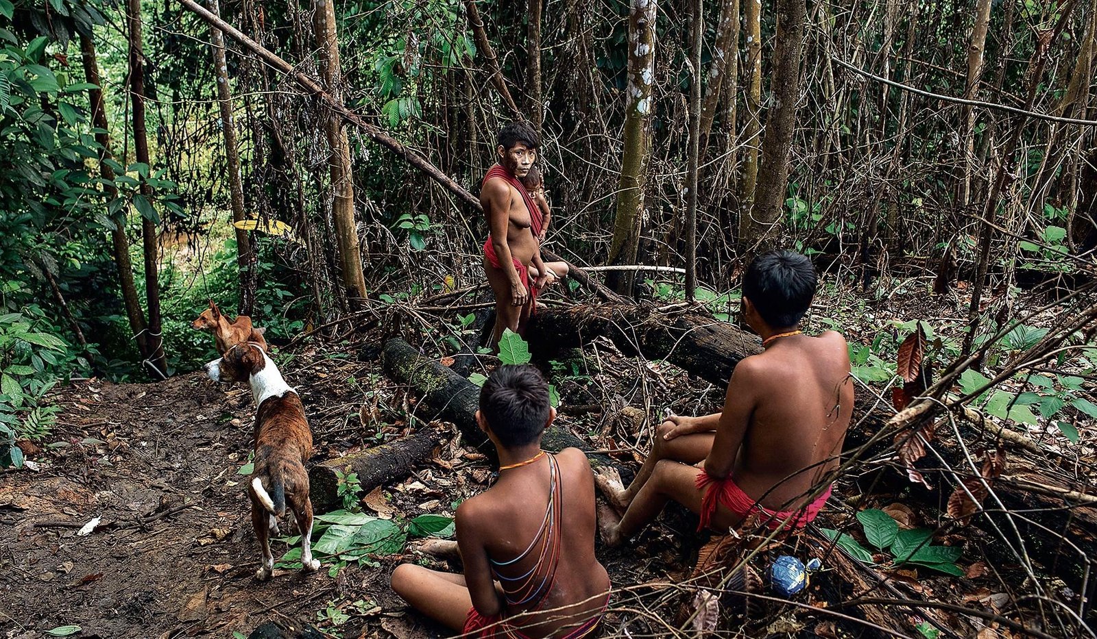 Operação especial retira garimpo da Terra Yanomami, mas surto de malária ainda ameaça indígenas três anos depois